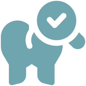 dental exam icon