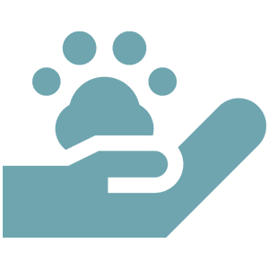 follow-up care icon