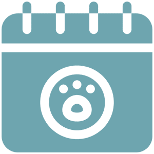 life stage icon