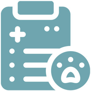 pet history icon