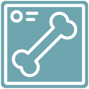 radiology icon