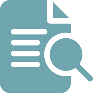 Document search icon
