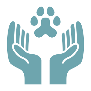 Hands Gently Holding a Paw