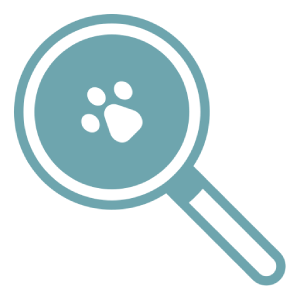 Magnifying glass paw print