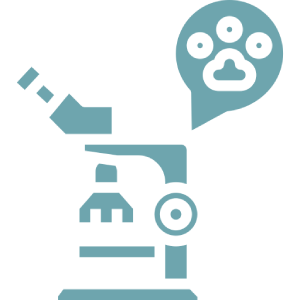 Microscope and animal paw