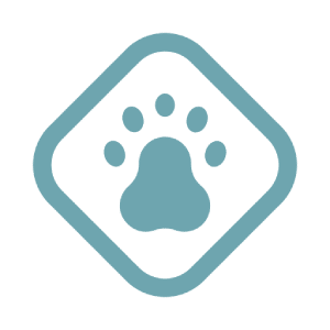 Paw print diamond icon