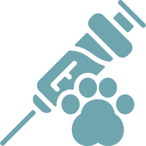 Pet paw syringe vaccine shot