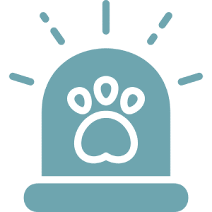 Pet safety alert icon